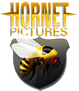 Hornetpictures